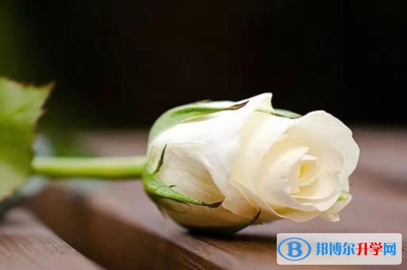 2020年贵阳中考指南