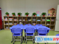 徐州爱尔国际学校初中部2023年招生计划