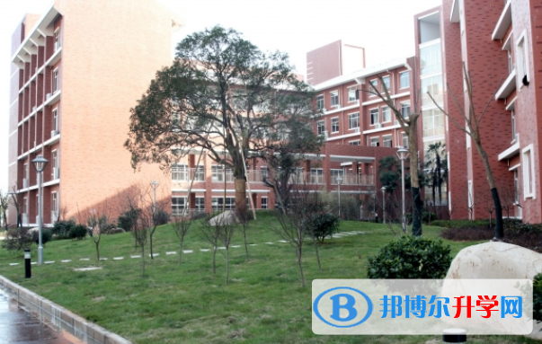 南京外国语学校大行宫校区2020年招生办联系电话