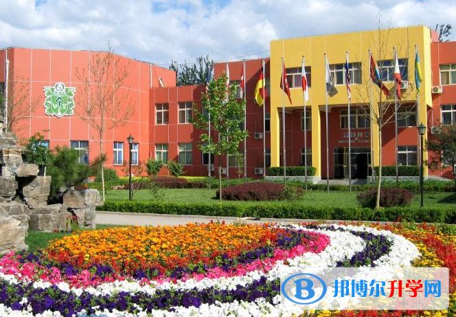 北京私立树人学校瑞贝学校2023年招生计划
