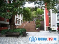 桑柘中学2024年招生计划