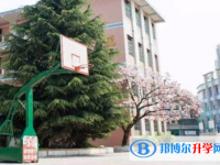 安顺市第三中学2021年排名