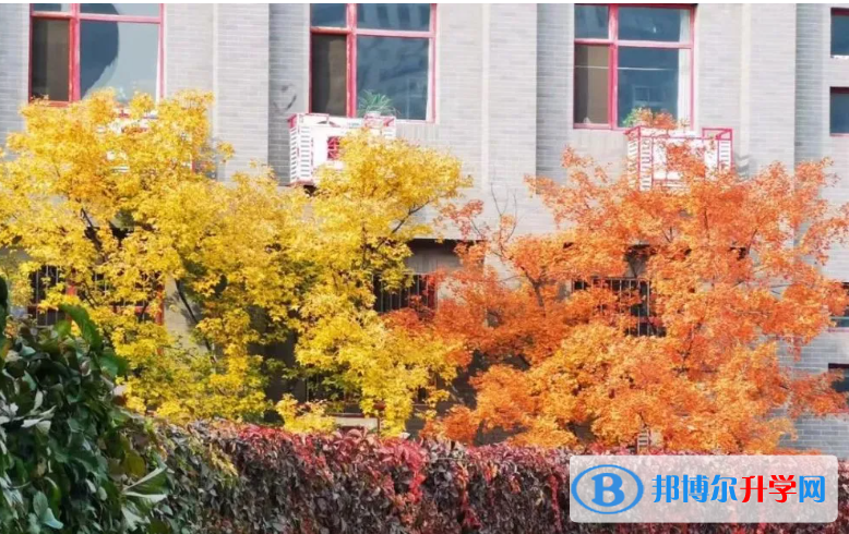 北京汇文中学2023年招生计划