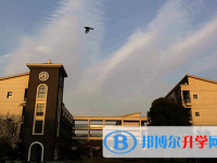 杭州第七中学2024年招生计划