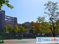 青冈县第一中学校招生简章2024年