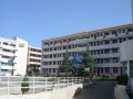 曲靖市民族中学2025年学费、收费多少