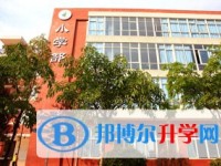 师大附属世纪金源学校2025年招生计划