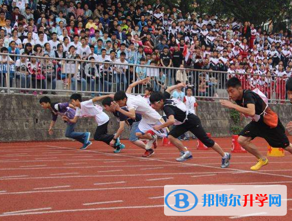 成都第二十四中学2022年网站网址