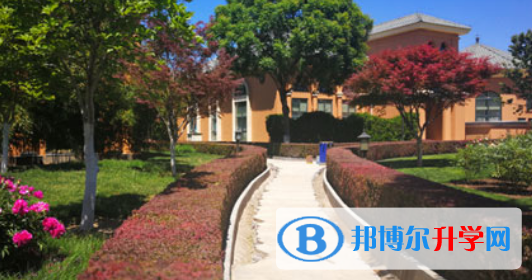 美达菲上海学校网站网址
