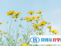 2020年眉山中考查询