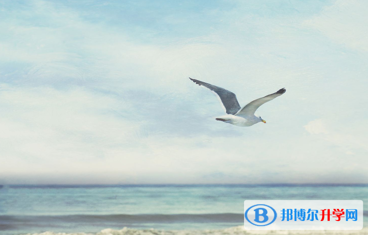 2020年六盘水中考成绩查询网址