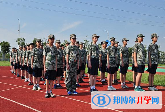 南京树人国际学校网站网址