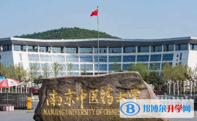 南京中医药大学国际教育中心2020年招生简章