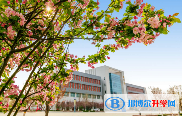 潍坊文华学校高中部网站网址 