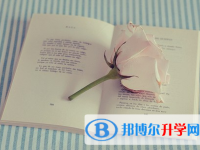 2020年临沧中考统考成绩