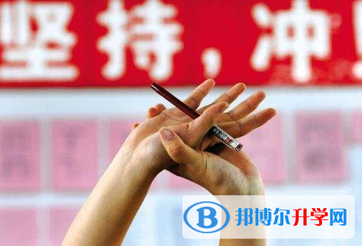 2021年文山中考在哪里查询