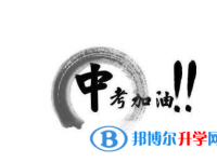 2021年文山中考招生情况