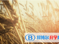 2021年渭南外地生中考怎没成绩