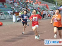 重庆市九龙外语学校2025年招生代码