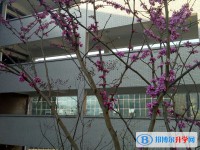 四川省兴文第二中学校2024年招生简章