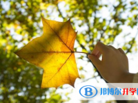 2021年攀枝花中考报名网