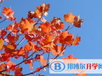 2021年渭南中考报名网站