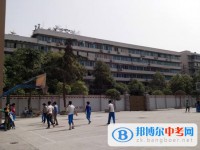 四川省成都西藏中学2025年学费、收费多少