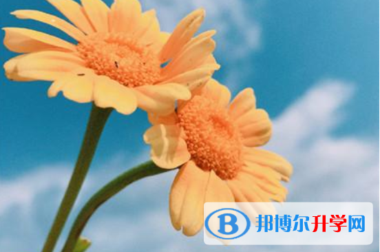 2021年咸阳中考失利怎么办