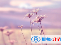 2021年延安中考填志愿的网站