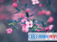 2021年延安中考怎样改志愿