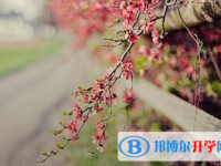 2021年延安中考志愿怎么填报