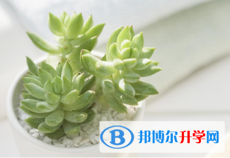 2021年延安中考重点线预测