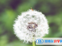 2021年咸阳江南app下载官网
技巧