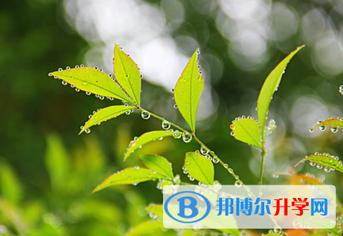 2021年安康中考的规则