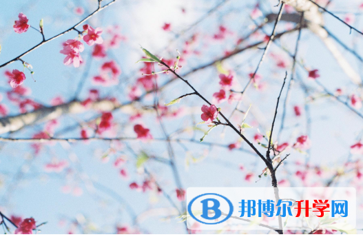 2021年安康中考考试时间