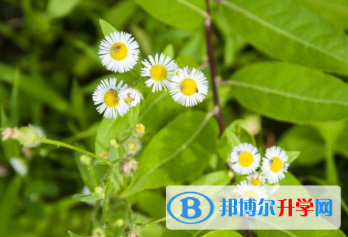 2021年安康中考怎么饮食