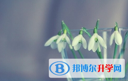 2021年安康中考后可以上什么学校