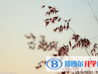 2021年安康中考报名网址