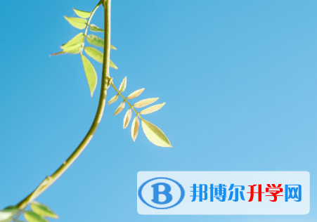 2021年安康江南app下载官网
技巧