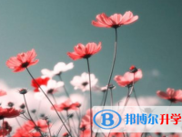 2021年石家庄网上查询中考成绩怎么查询