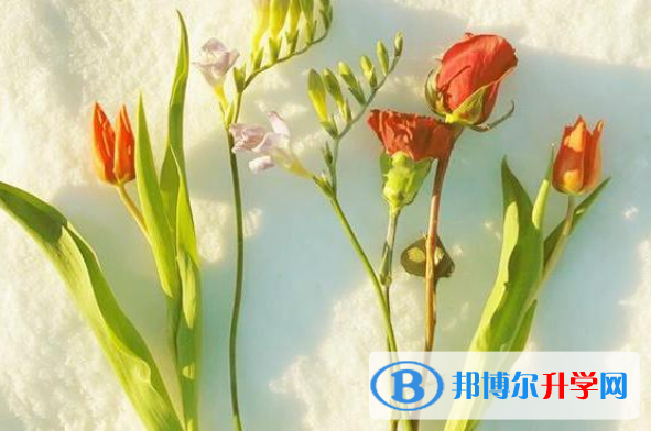 2021年商洛中考是不是录取线最高的