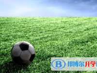 2021年石家庄中考成绩有没D