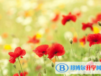 2021年石家庄中考录取名单查询