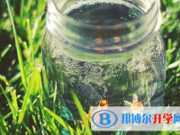 2021年商洛中考网中考查询