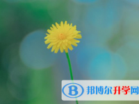2021年石家庄所有中考试卷