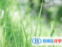 2021年商洛中考志愿怎么填报