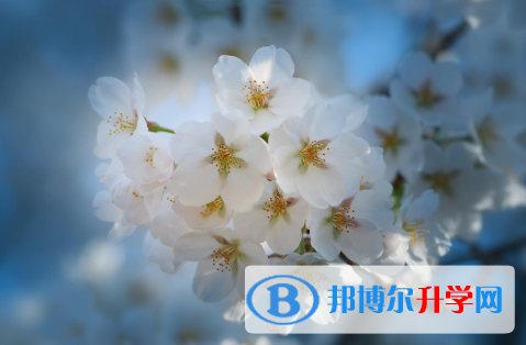 2021年秦皇岛中考录取报名网