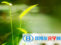 2021年秦皇岛中考录取结果查询