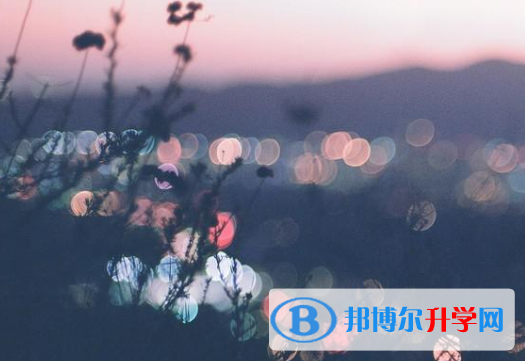 邯郸2021年中考招考信息