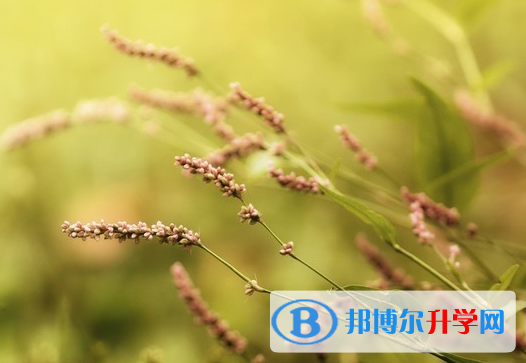 保定2021年中考报名网站是什么
